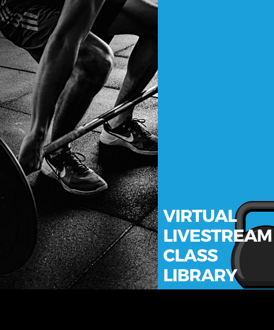 Virtual Class Library